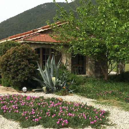 빌라 Buhur Villas *