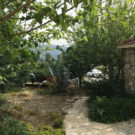 빌라 Buhur Villas *